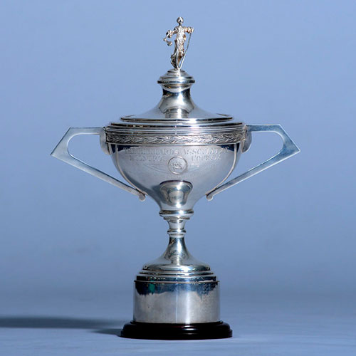 ENGRAVED FREE Snooker Pool Cue Silver Moment Cup Sports Award Trophy E 